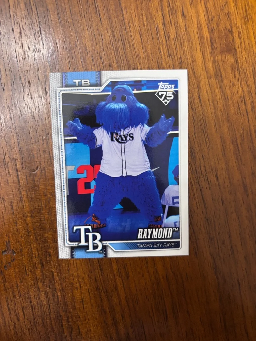 Topps Tampa Bay Rays Raymond Mascot Card - Blue, White - Picture 1 of 2